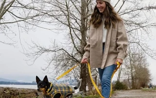 RC Pets- Stylish and Functional Seasonal Apparel picture