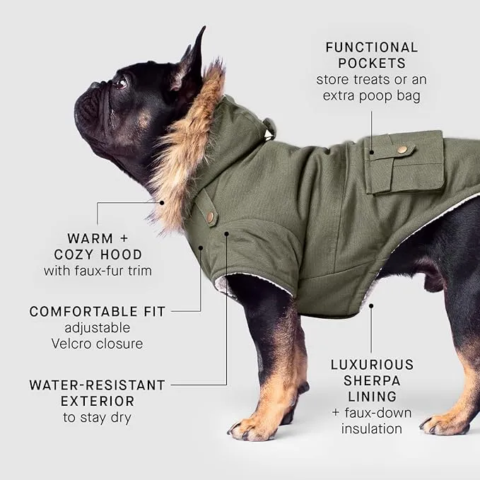 Fashionable Pet Apparel – Brand- Canada Pooch picture