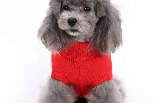 Pet Apparel – Frisco picture