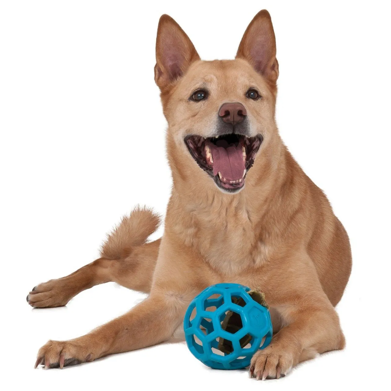 JW Pet Hol-ee Roller