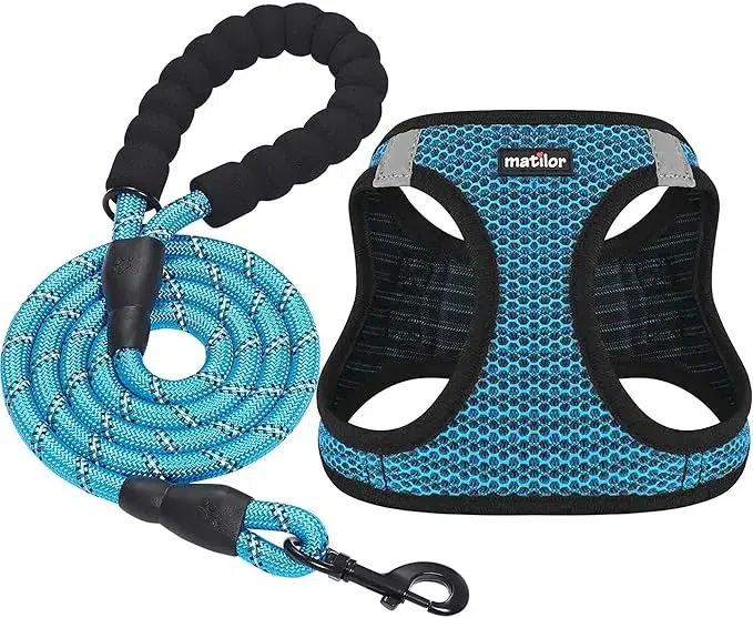 Frisco – Affordable Dog Accessories picture