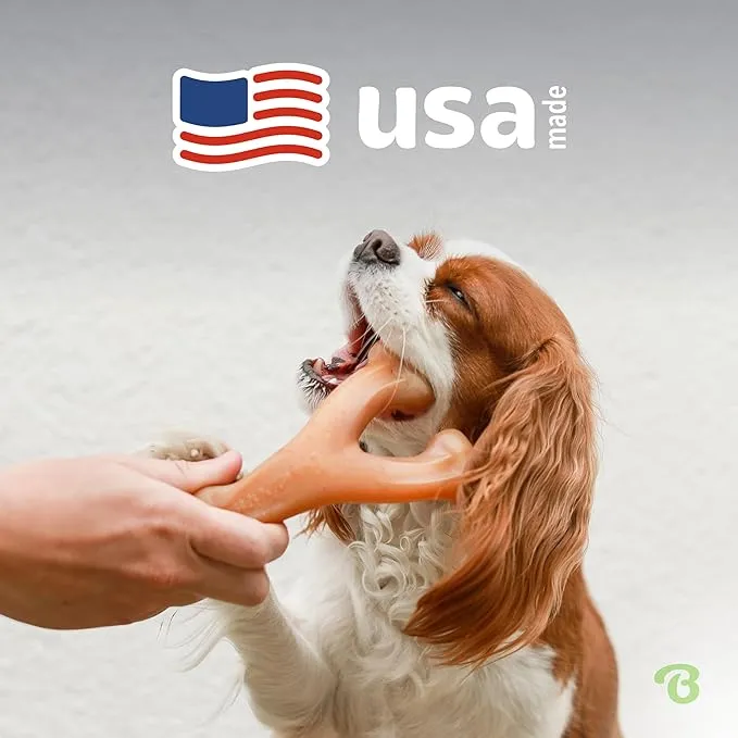 Benebone Wishbone Durable Chew Toy photo