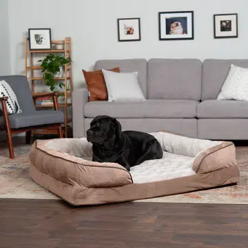 Furhaven Comfortable Dog Bed