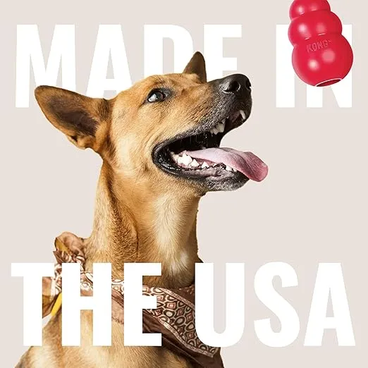 KONG Classic Dog Toy by KONG picture