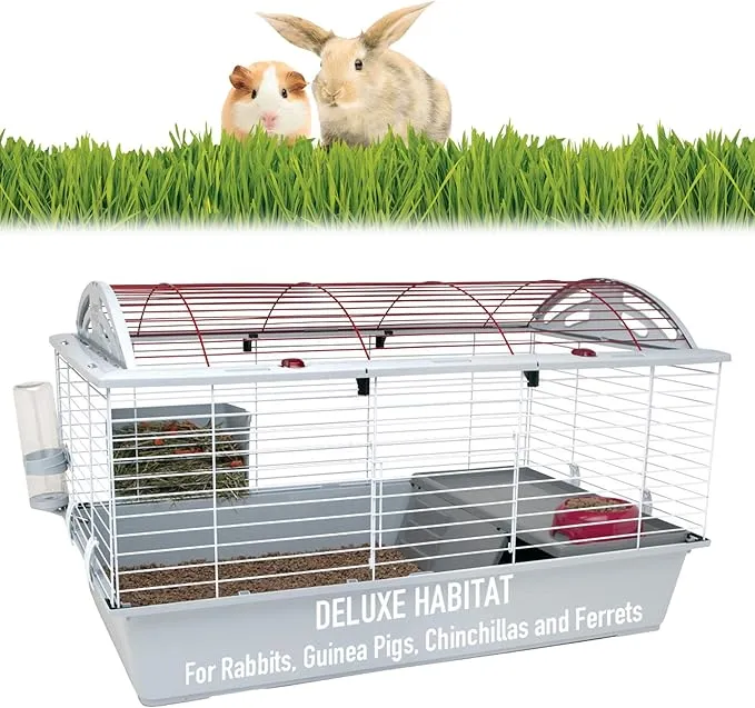 Superpet Spacious Small Animal Habitats picture