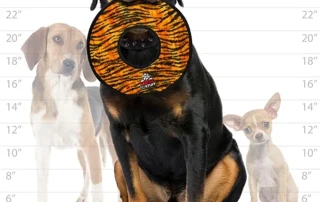 Tuffy Ultimate Ring Toy picture