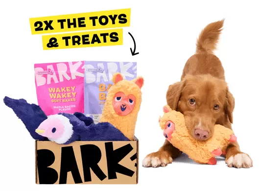 BarkBox Toy Subscription by BARK Th