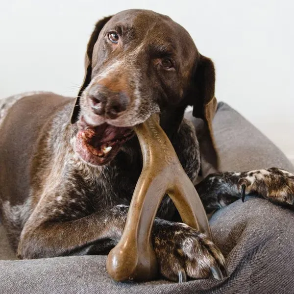 Benebone Real Flavor Wishbone Chew Toy