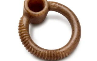 Benebone Wishbone Chew Toy – Benebone