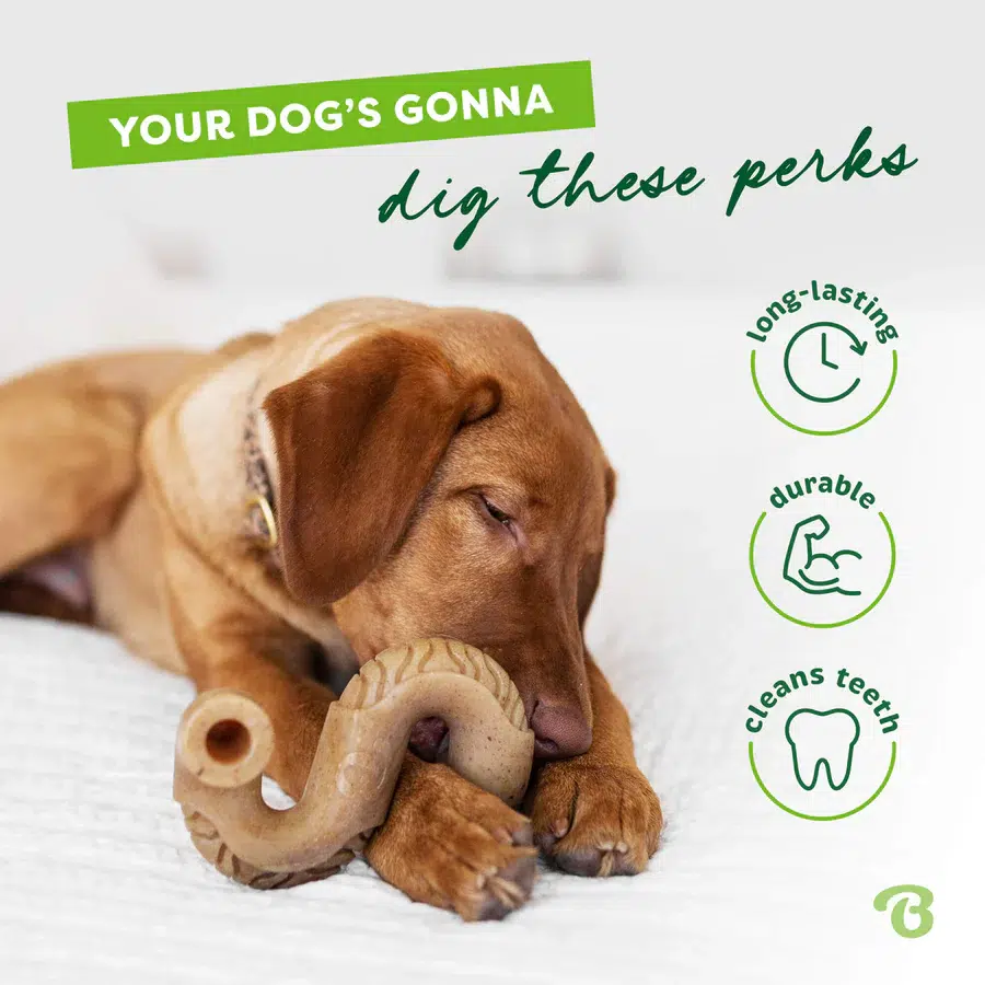 Benebone Wishbone Chew Toy