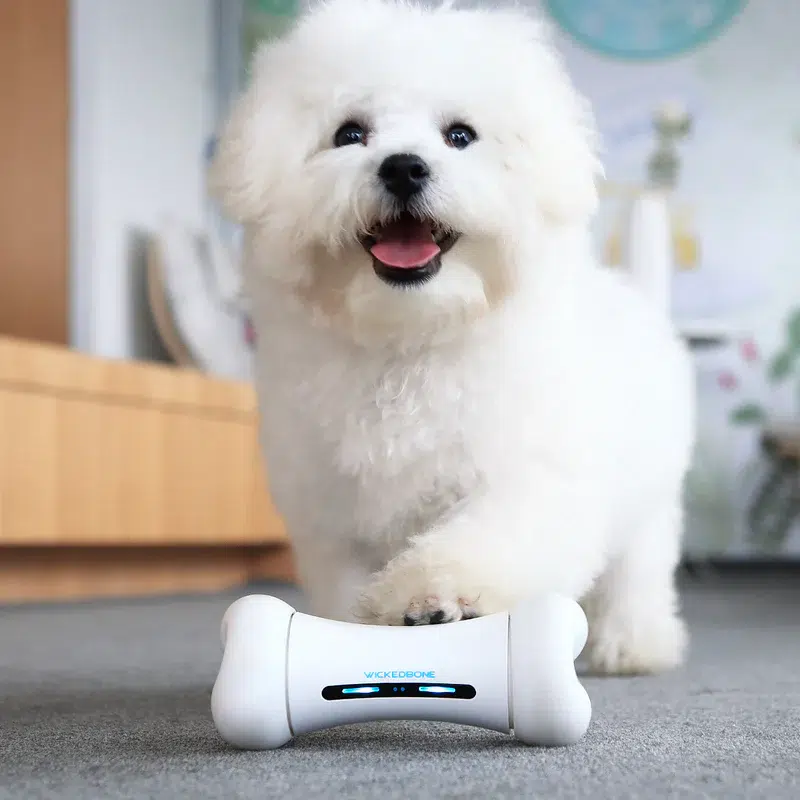 Cheerble – Wickedbone Smart Interactive Toy