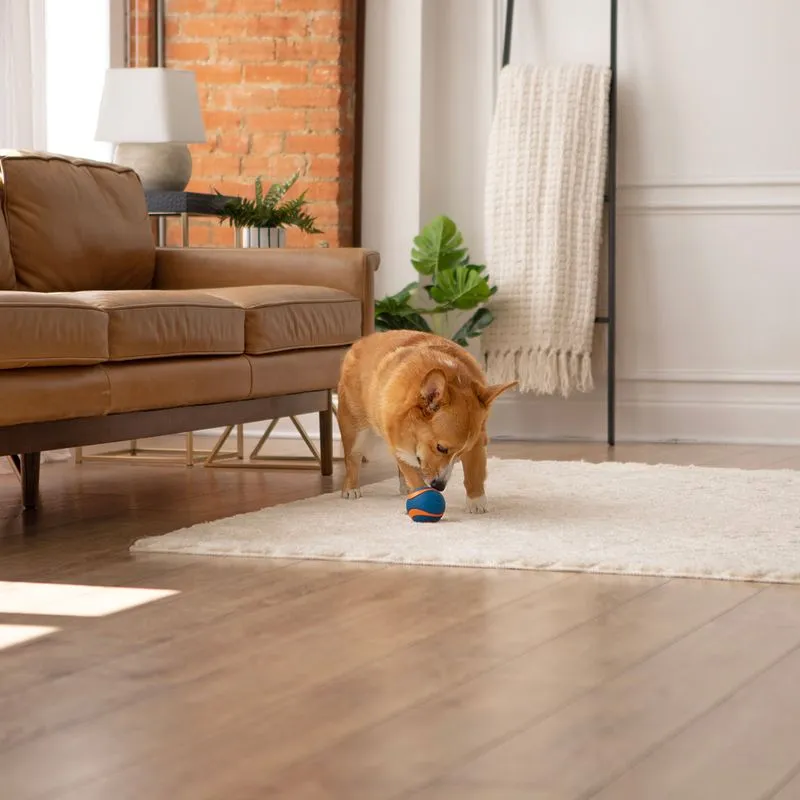 Chuckit! Ultra Ball Wide Product Variety