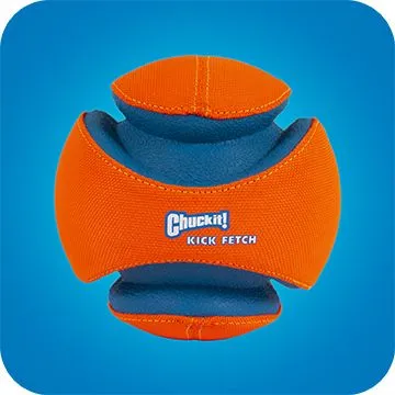 Chuckit! – Ultra Ball Dog Toy