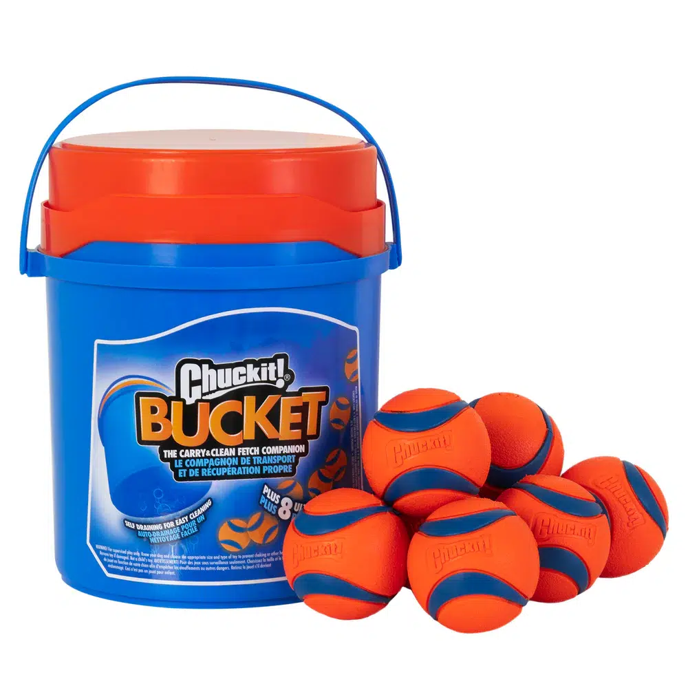 Chuckit!'s Fetch Toys Simplify Inventory Management