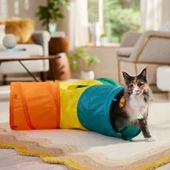 Frisco Cat Tunnels