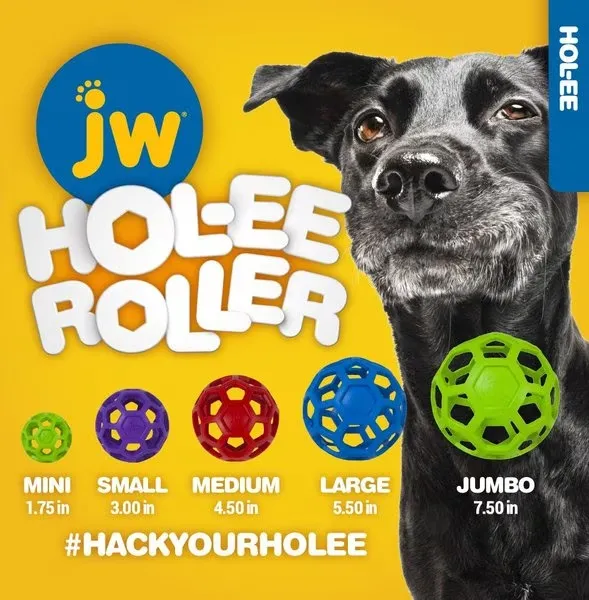 JW Pet Hol-ee Roller Dog Toy