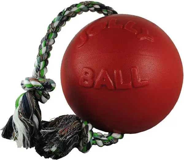 Jolly Pets Romp-n-Roll – Tough Rubber Ball for Aggressive