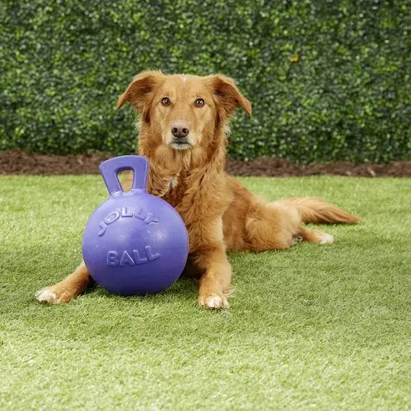 Jolly Pets Tug-n-Toss Ball