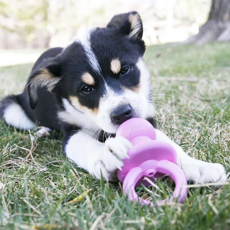 KONG Classic Dog Toy