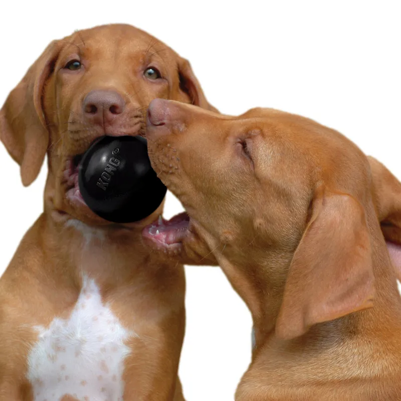 KONG Classic Dog Toy Exceptional Product Quality