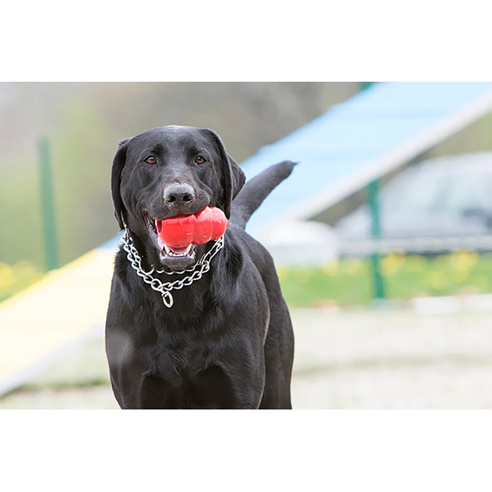 KONG Company – KONG Classic Dog Toy