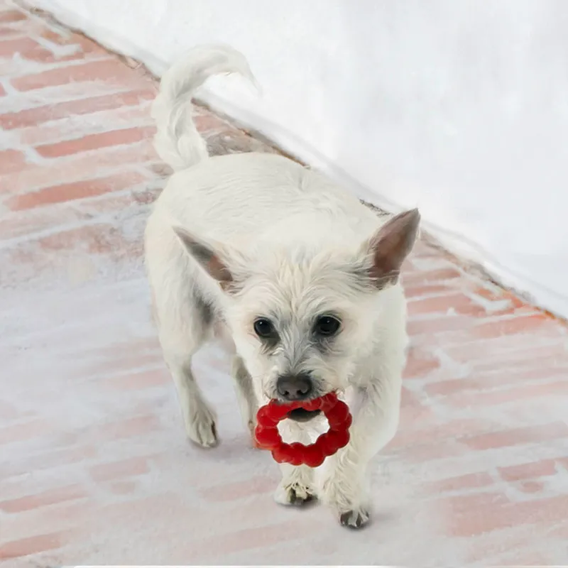 KONG Extreme Chew Toy – The Ultimate Durable Chew Toy