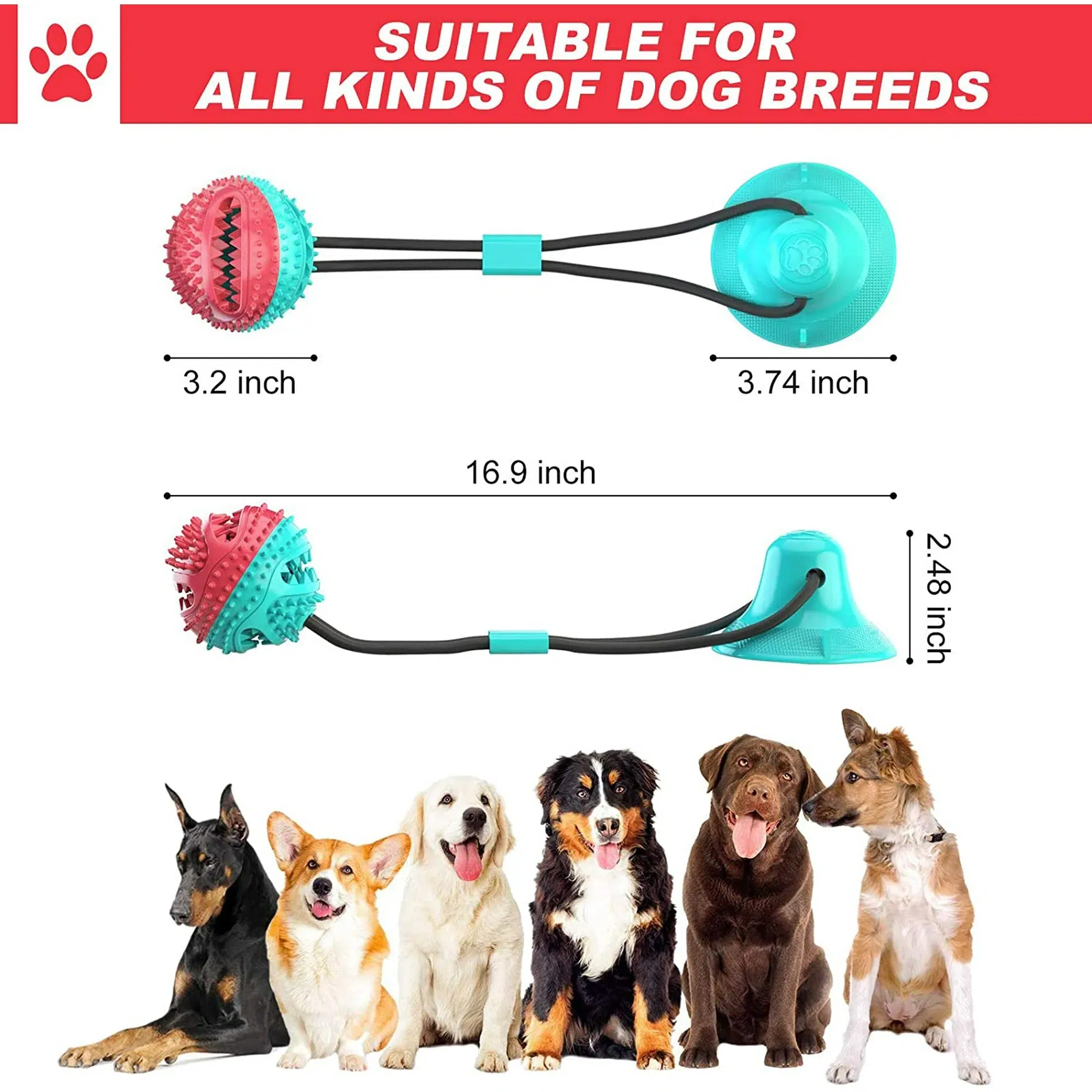 Morpilot Dog Tug Toy – Innovative Suction Cup Design