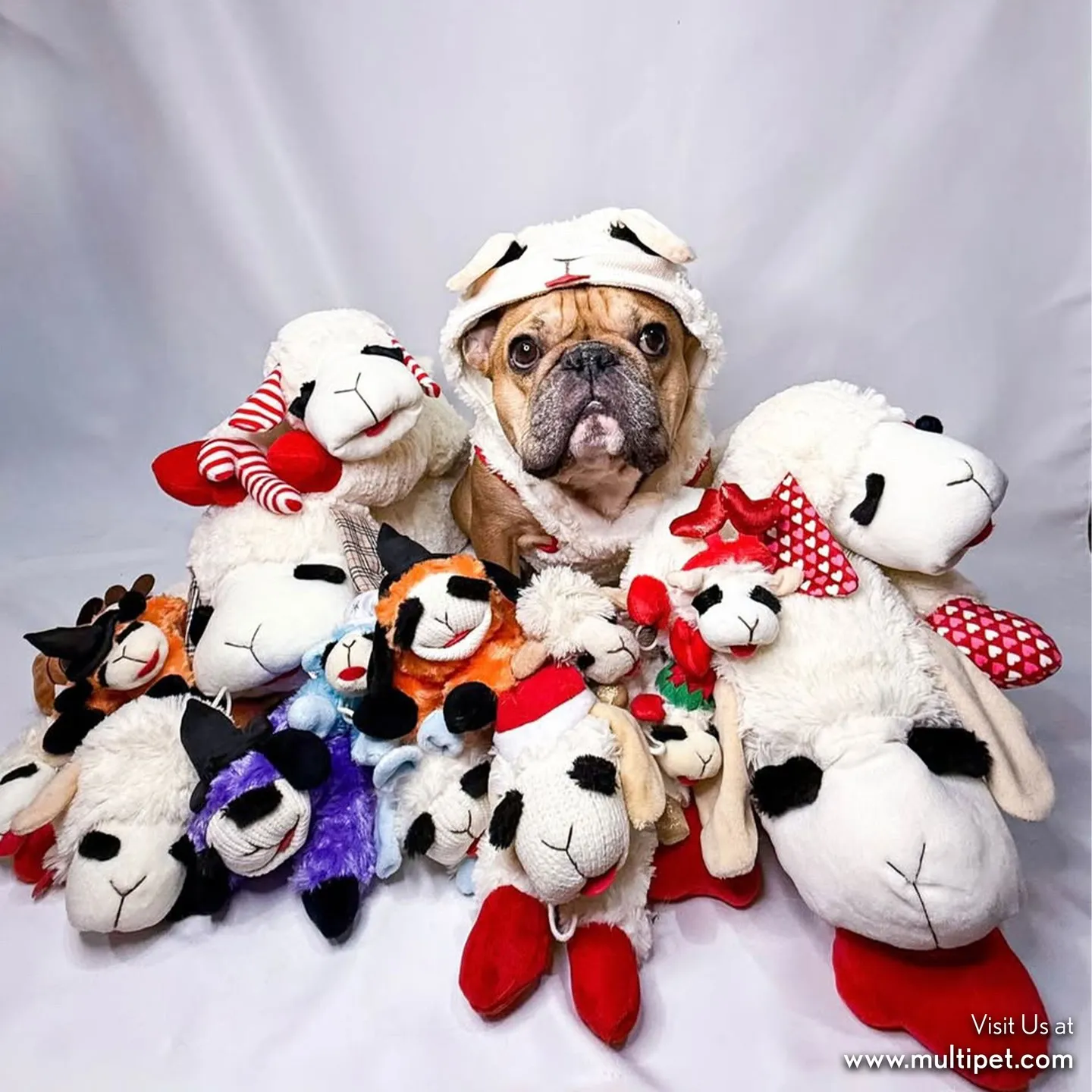 Multipet Lamb Chop Plush Toy Wholesale Support