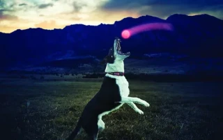 Nite Ize GlowStreak – LED Light-Up Fetch Ball