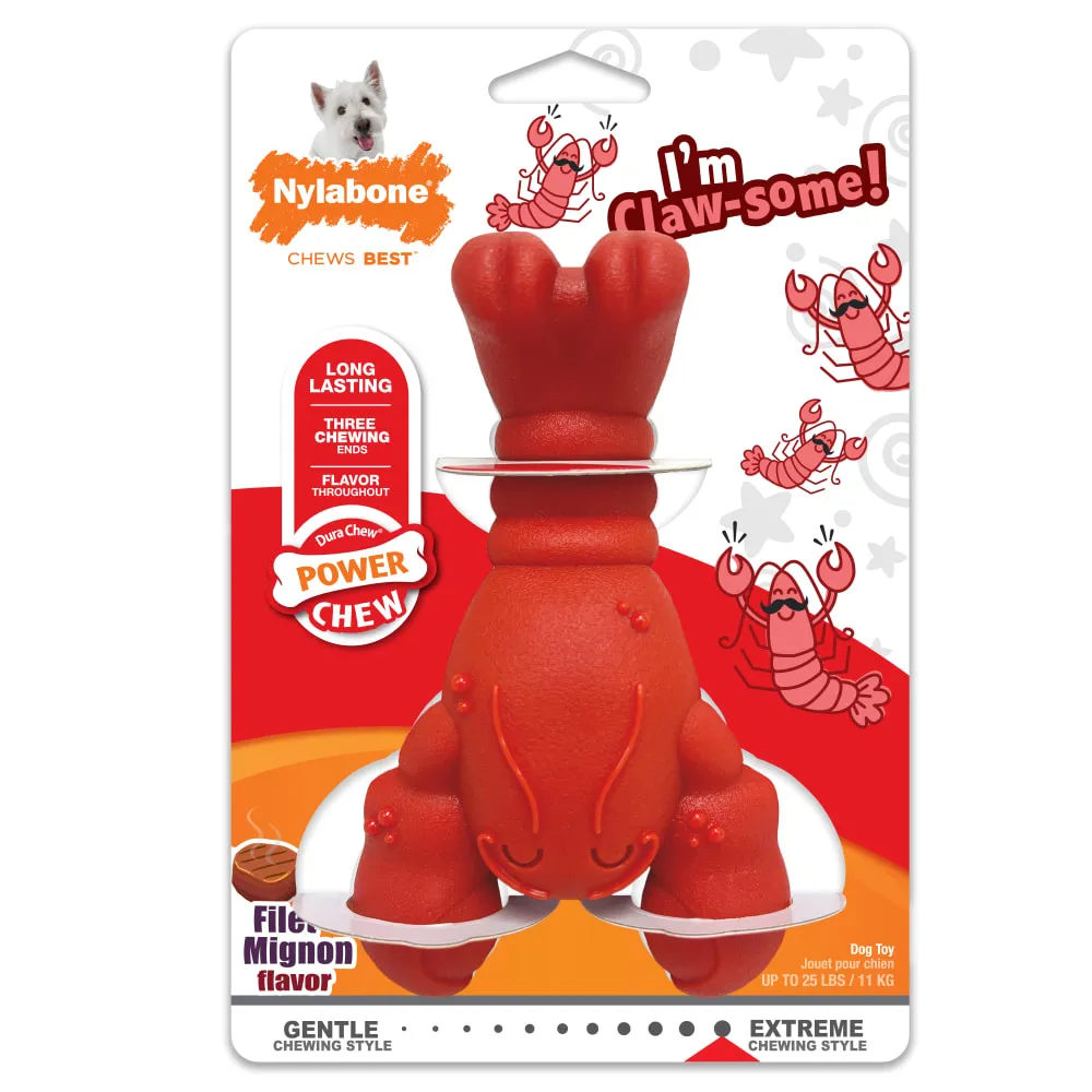 Nylabone Dura Chew Toys