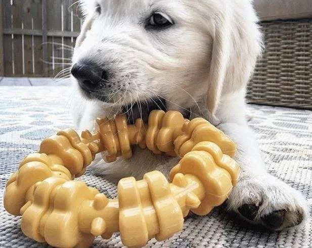Nylabone Power Chew Textured Ring