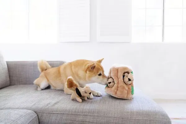 Outward Hound Hide A Squirrel Puzzle Toy