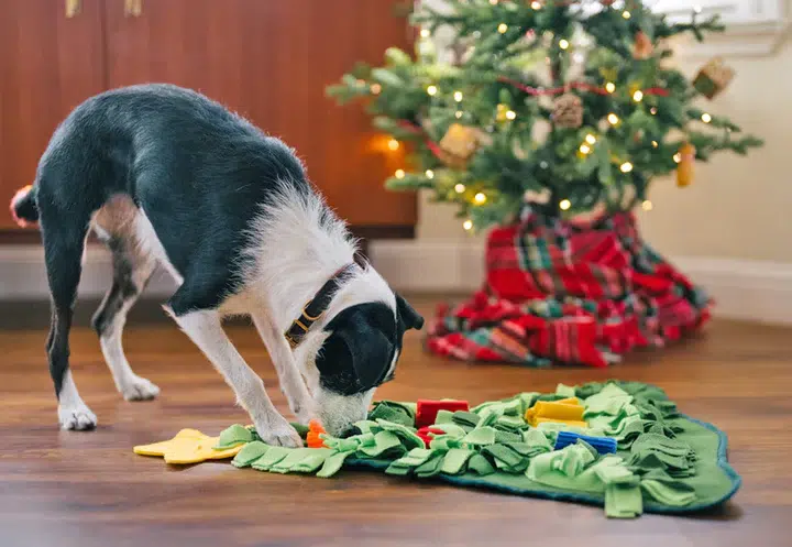 P.L.A.Y. – Enrichment Snuffle Mat