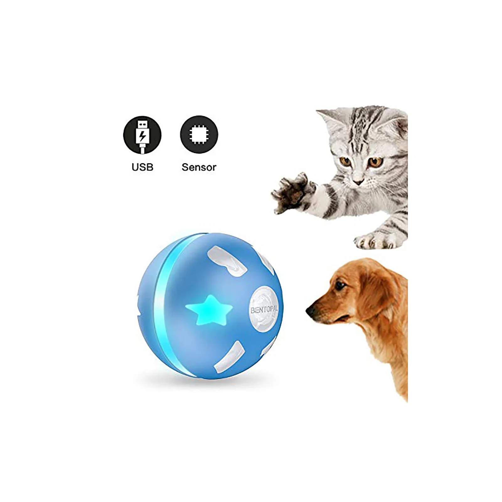 PetDroid Boltz – LED Light-Up Chase Toys