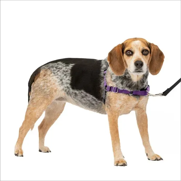 PetSafe Easy Walk Harness