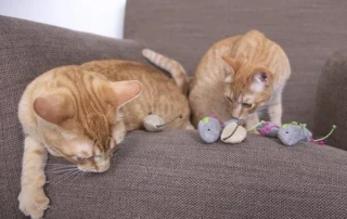 SmartyKat Skitter Critters Cat Toys