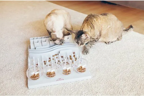 Trixie 5-in-1 Activity Board – Puzzle Toy for Small Pets