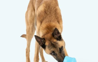 West Paw – Zogoflex Toppl Interactive Feeder