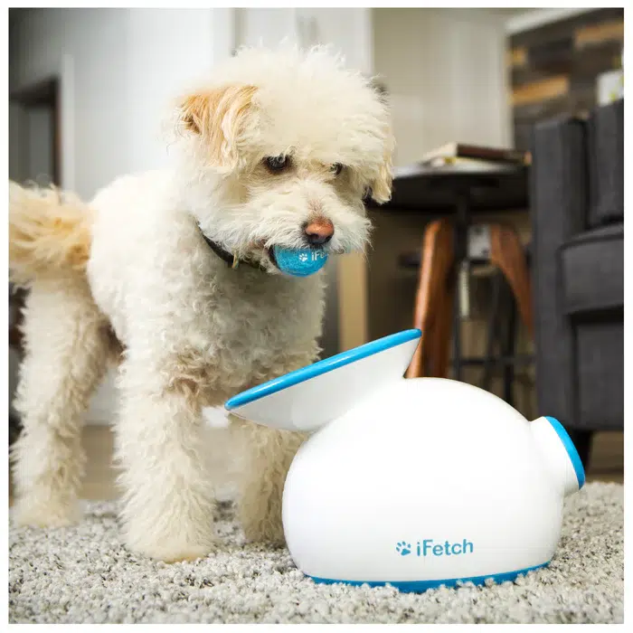 iFetch – Automatic Ball Launcher