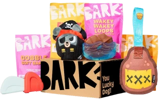 BarkBox Accessories – Subscription-Box Appeal