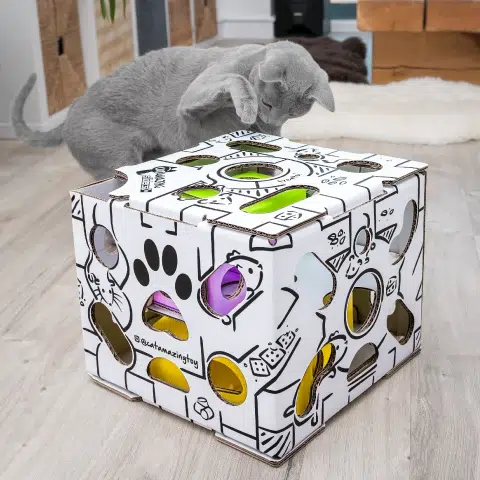 Cat Amazing’s Interactive Puzzle Box for Indoor Cats