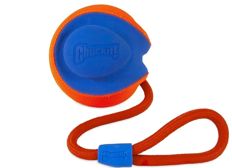Chuckit!’s Ultra Ball – High-Performance Fetch Toy