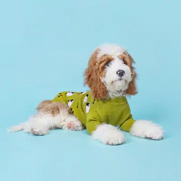 Fitwarm Pet Clothes