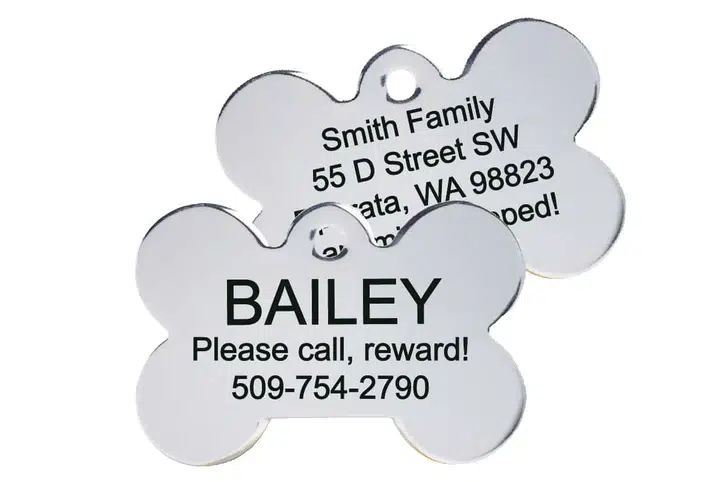 GoTags’ Personalized Pet ID Tags – Customizable Essentials for Pet Safety
