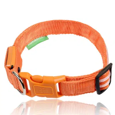 Illumiseen LED Dog Collar – Nighttime Visibility and Safety