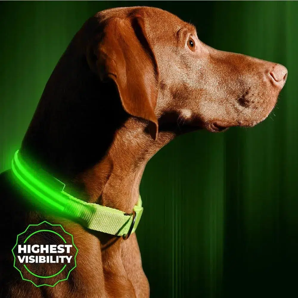 Illumiseen LED Dog Collars