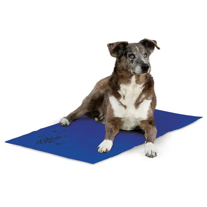 K&H Cooling Gel Mat – Summer Relief for Pets