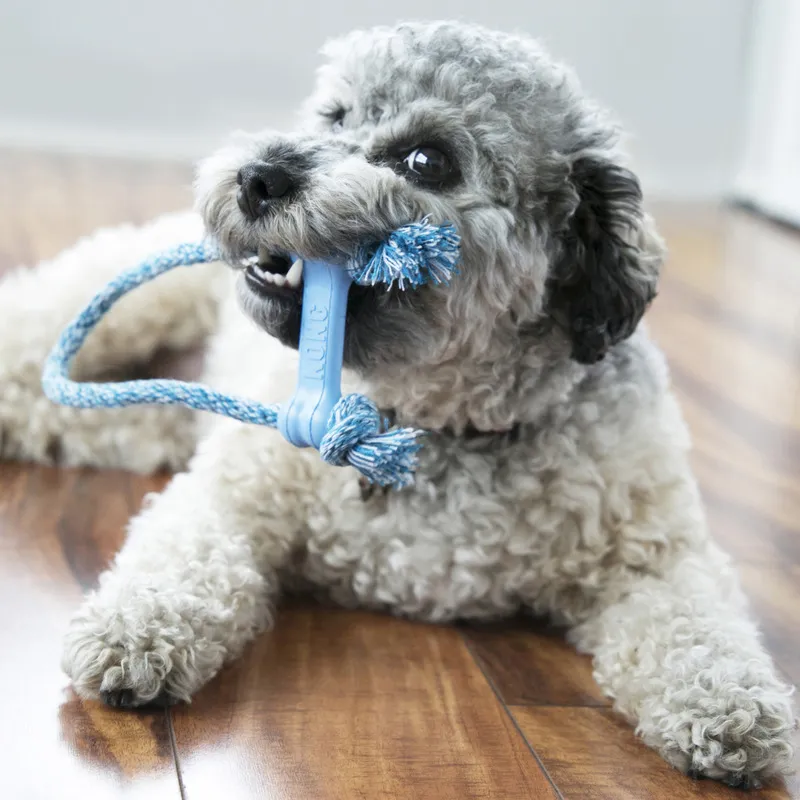 KONG Dog Toys
