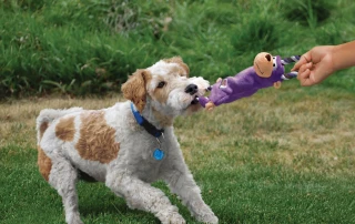 KONG’s Tugger Knots – Durable Tug Toy for Dogs