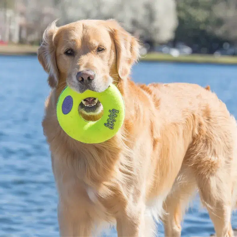 Kong - Durable Rubber Chew Toy for Dogs
